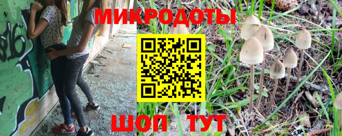 Псилоцибиновые грибы Psilocybine cubensis Долгопрудный